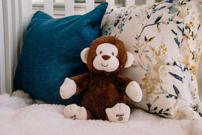 Find Out How to Keep Plush Toys Clean