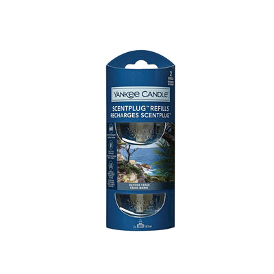 Bayside Cedar Scentplug Refill by Yankee Candle - Enesco Gift Shop