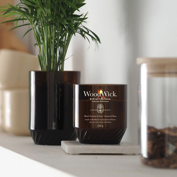 Black Currant & Rose Renew Medium Candle by WoodWick