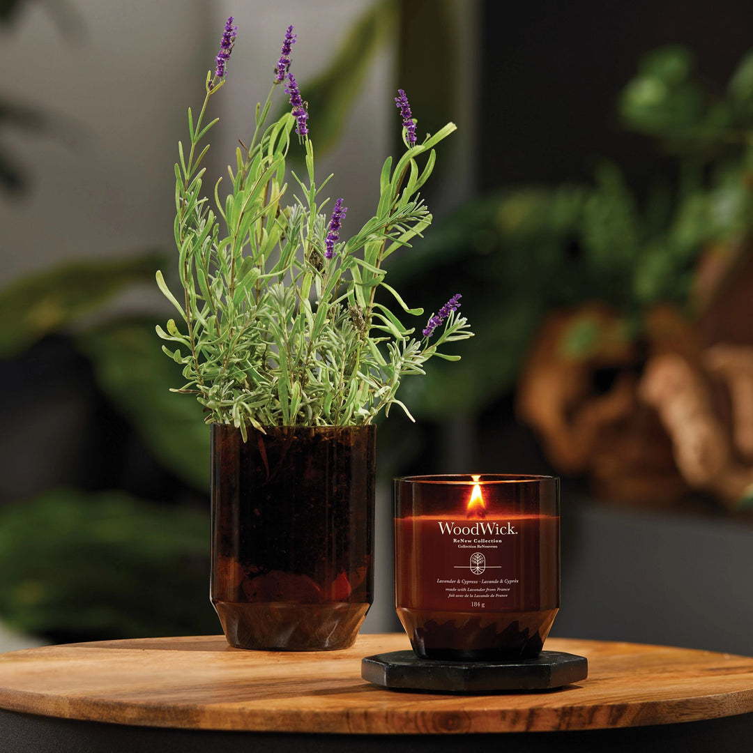 Lavender & Cypress Renew Medium Candle by WoodWick