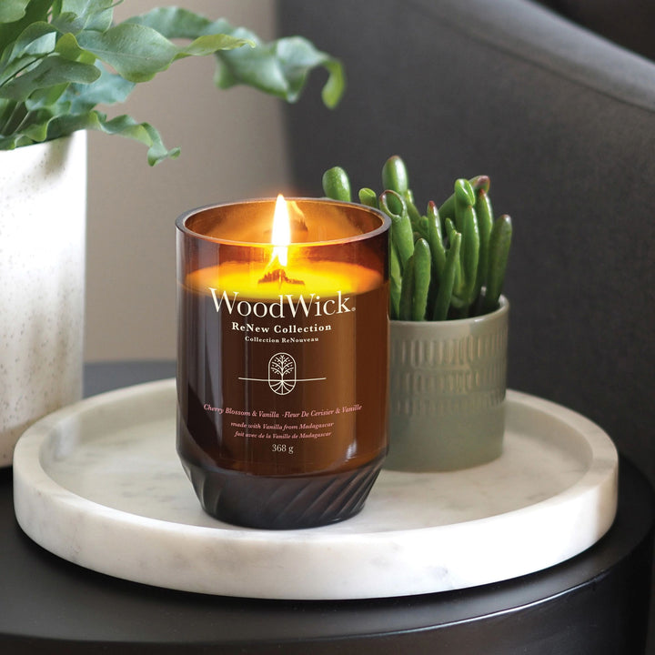 Cherry Blossom & Vanilla Renew Large Candle by WoodWick