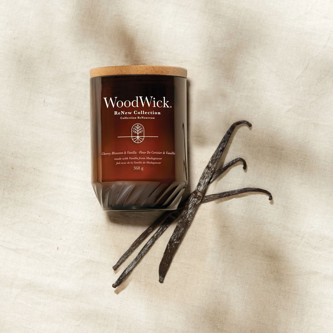 Cherry Blossom & Vanilla Renew Large Candle by WoodWick