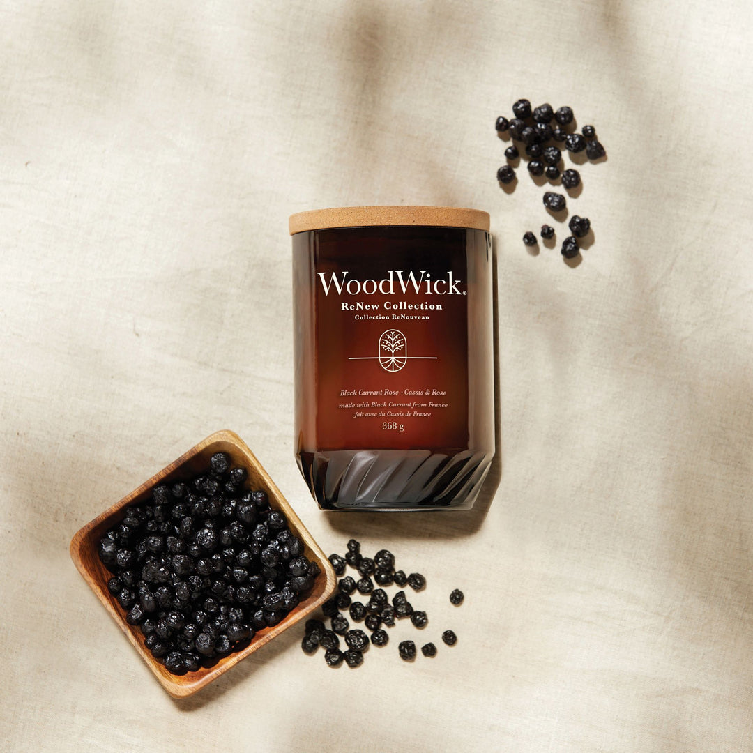 Black Currant & Rose Renew Large Candle by WoodWick