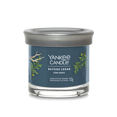Bayside Cedar Signature Small Tumbler Yankee Candle - Enesco Gift Shop