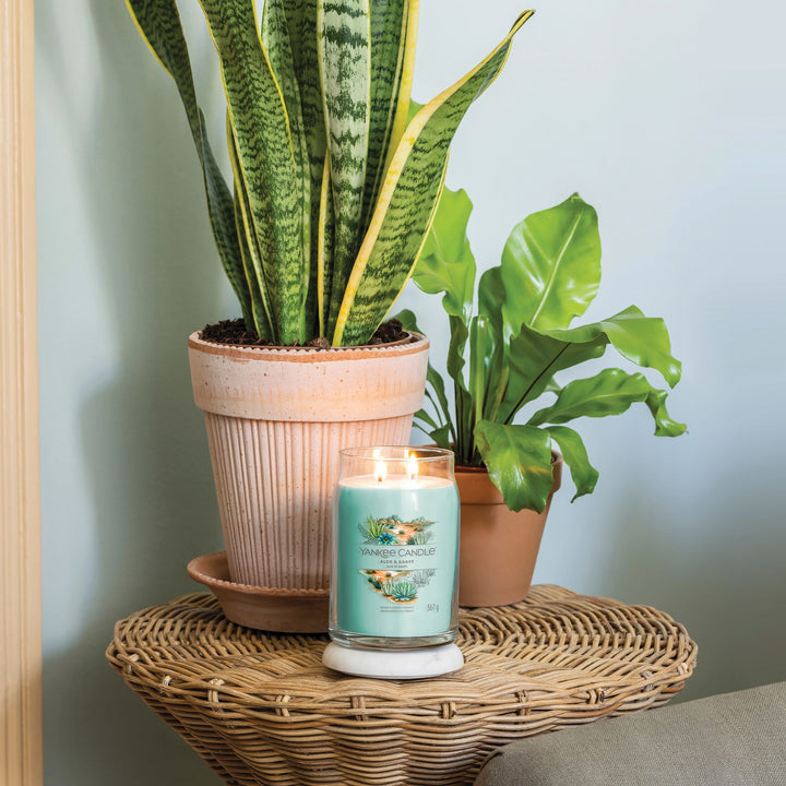 Aloe Agave Signature Large Jar by Yankee Candle