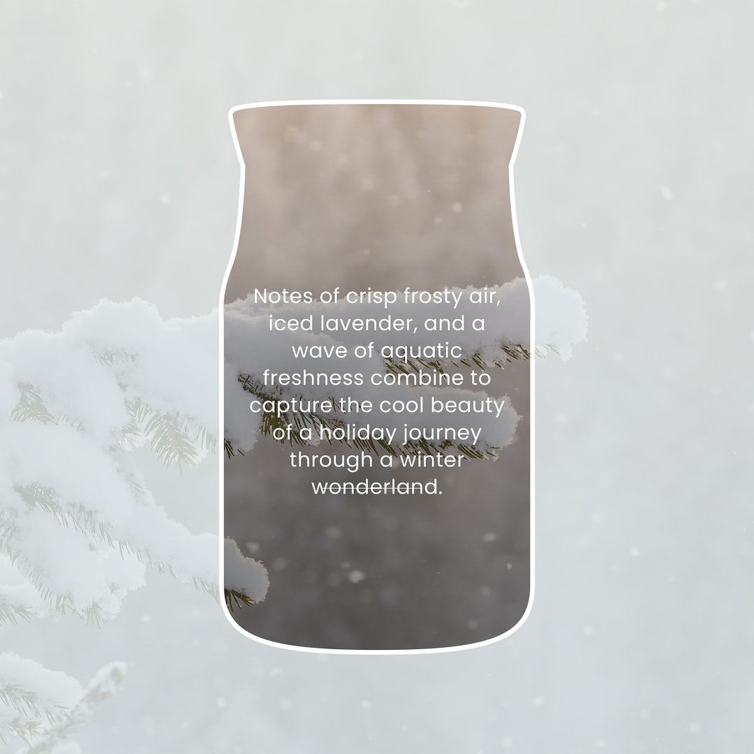 Snow Kissed Pine Signature Small Jar by Yankee Candle