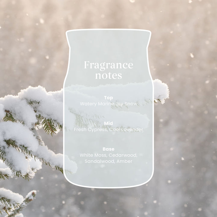 Snow Kissed Pine Mini Filled Votive by Yankee Candle