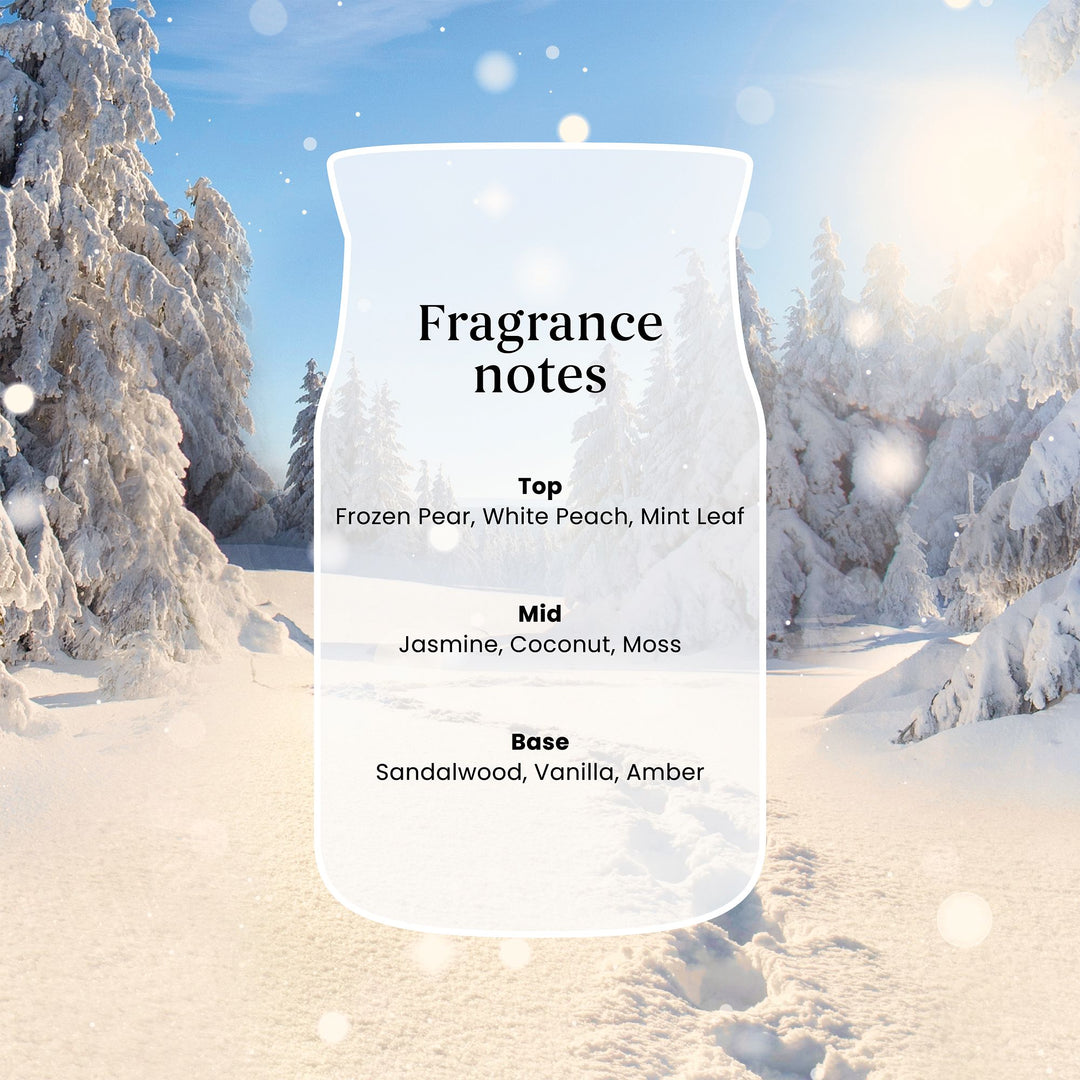 Winter Walk Signature Medium Jar by Yankee Candle