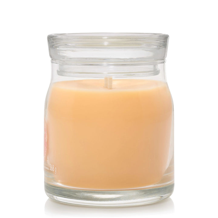 Slopeside Spritz Signature Medium Jar by Yankee Candle