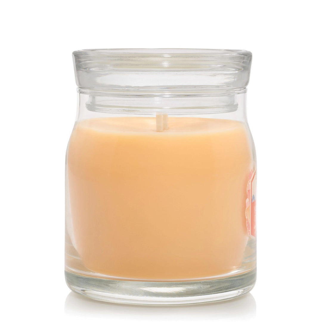 Slopeside Spritz Signature Medium Jar by Yankee Candle