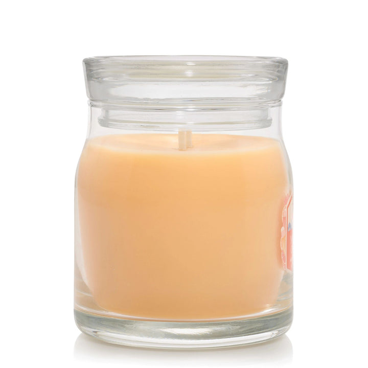 Slopeside Spritz Signature Medium Jar by Yankee Candle