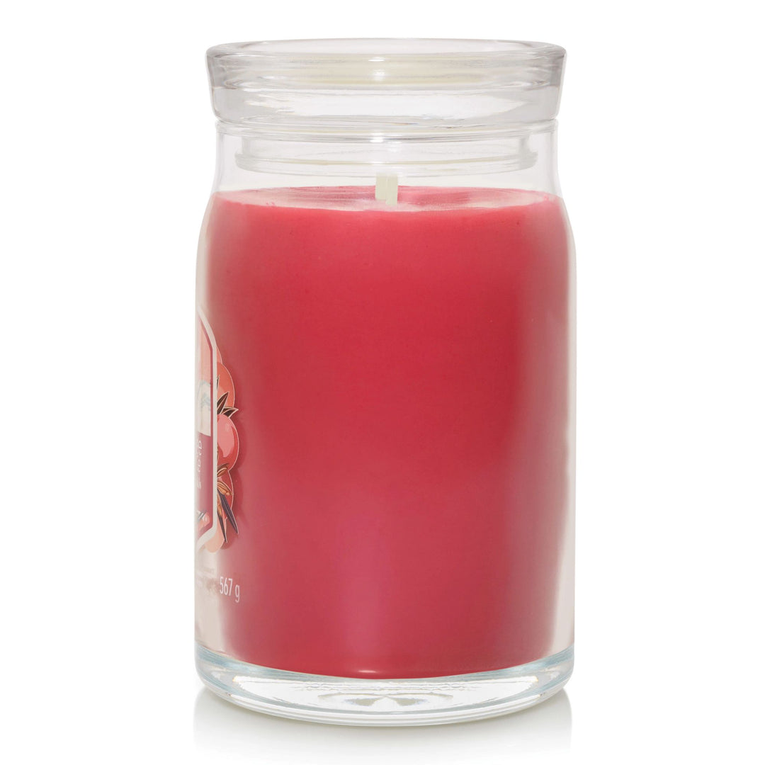 Santa on Skis Signature Large Jar by Yankee Candle