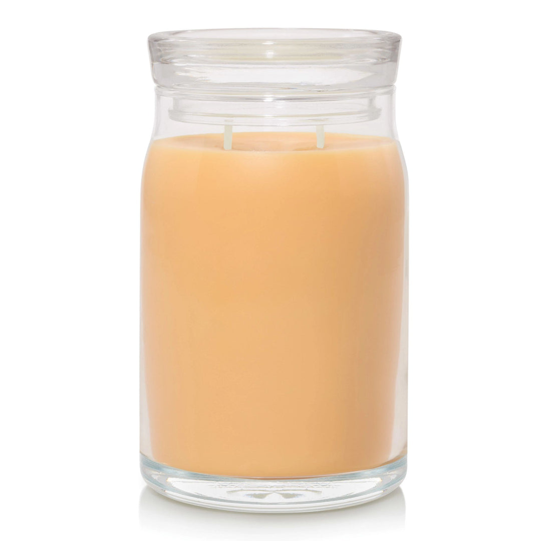 Slopeside Spritz Signature Large Jar by Yankee Candle