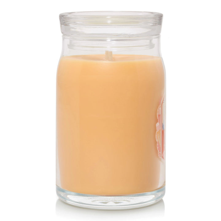 Slopeside Spritz Signature Large Jar by Yankee Candle