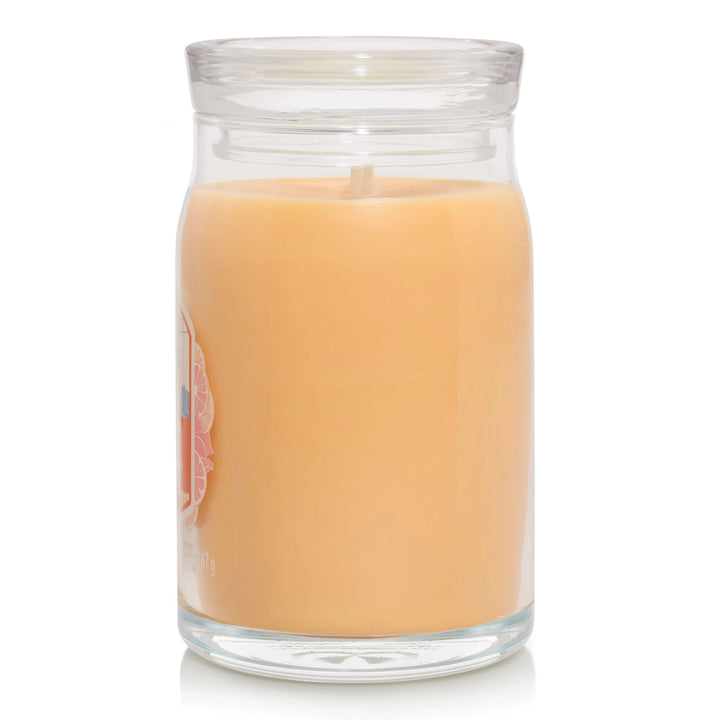 Slopeside Spritz Signature Large Jar by Yankee Candle