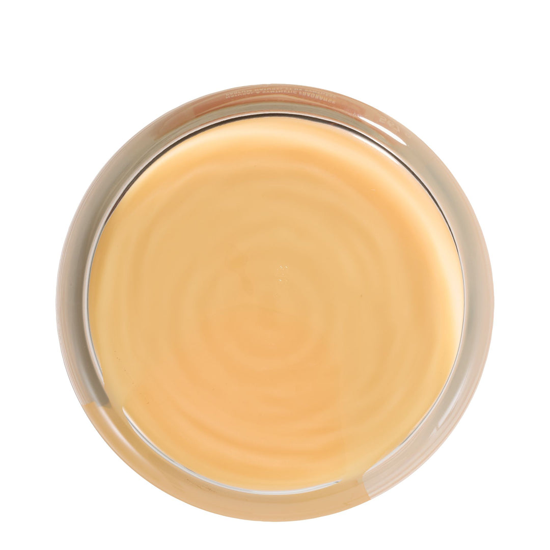 Slopeside Spritz Signature Large Jar by Yankee Candle