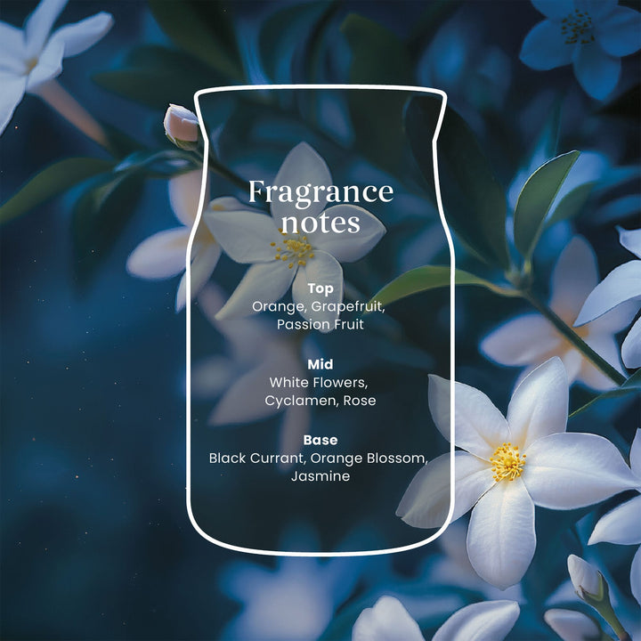 Midnight Jasmine Reed Diffuser 100ml by Yankee Candle