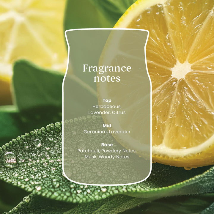 Sage &amp; Citrus Reed Diffuser 100ml by Yankee Candle