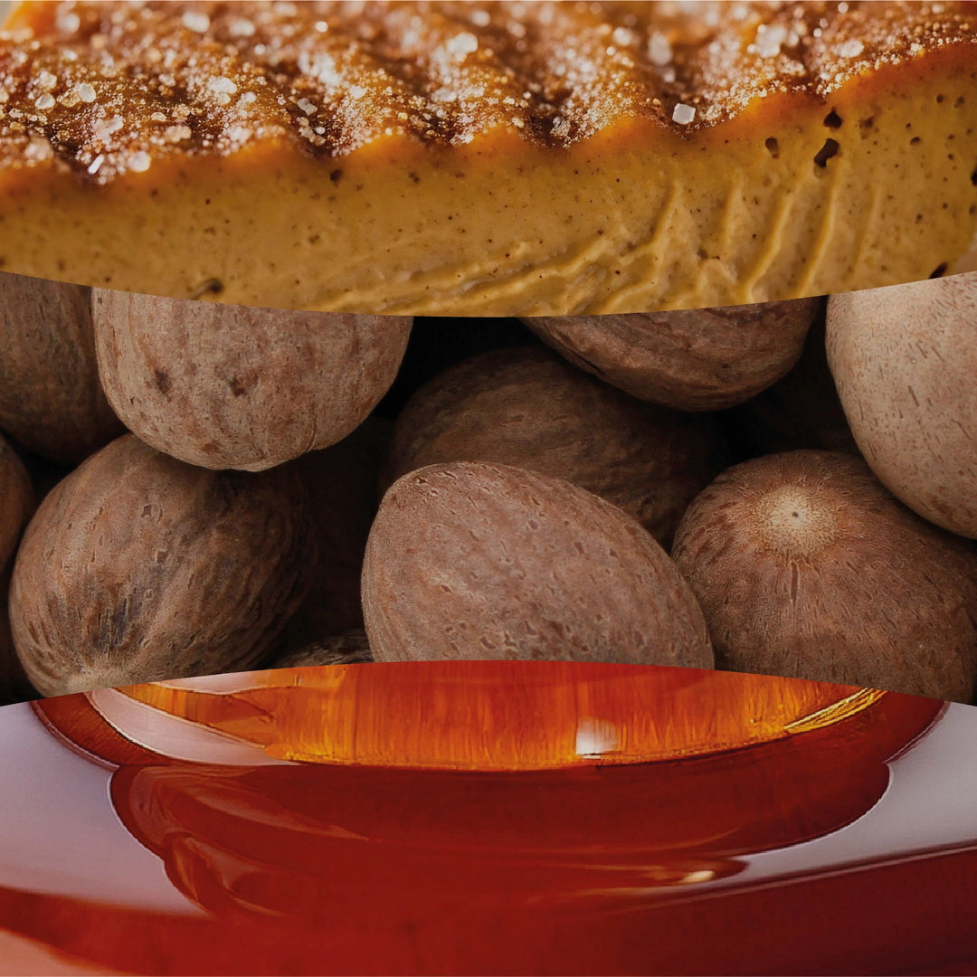 Pumpkin Praline Ellipse by WoodWick