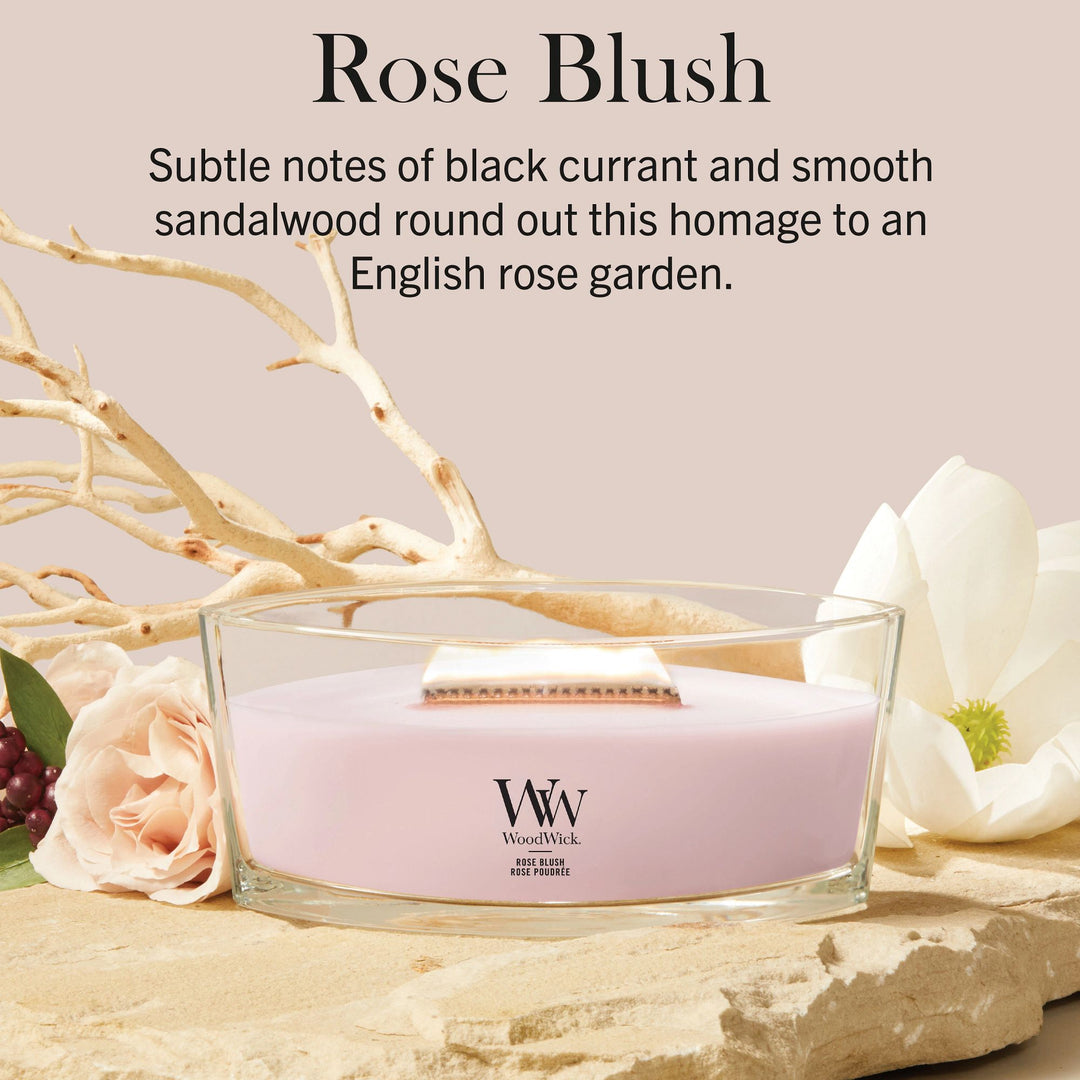 Rose Blush Ellipse by WoodWick