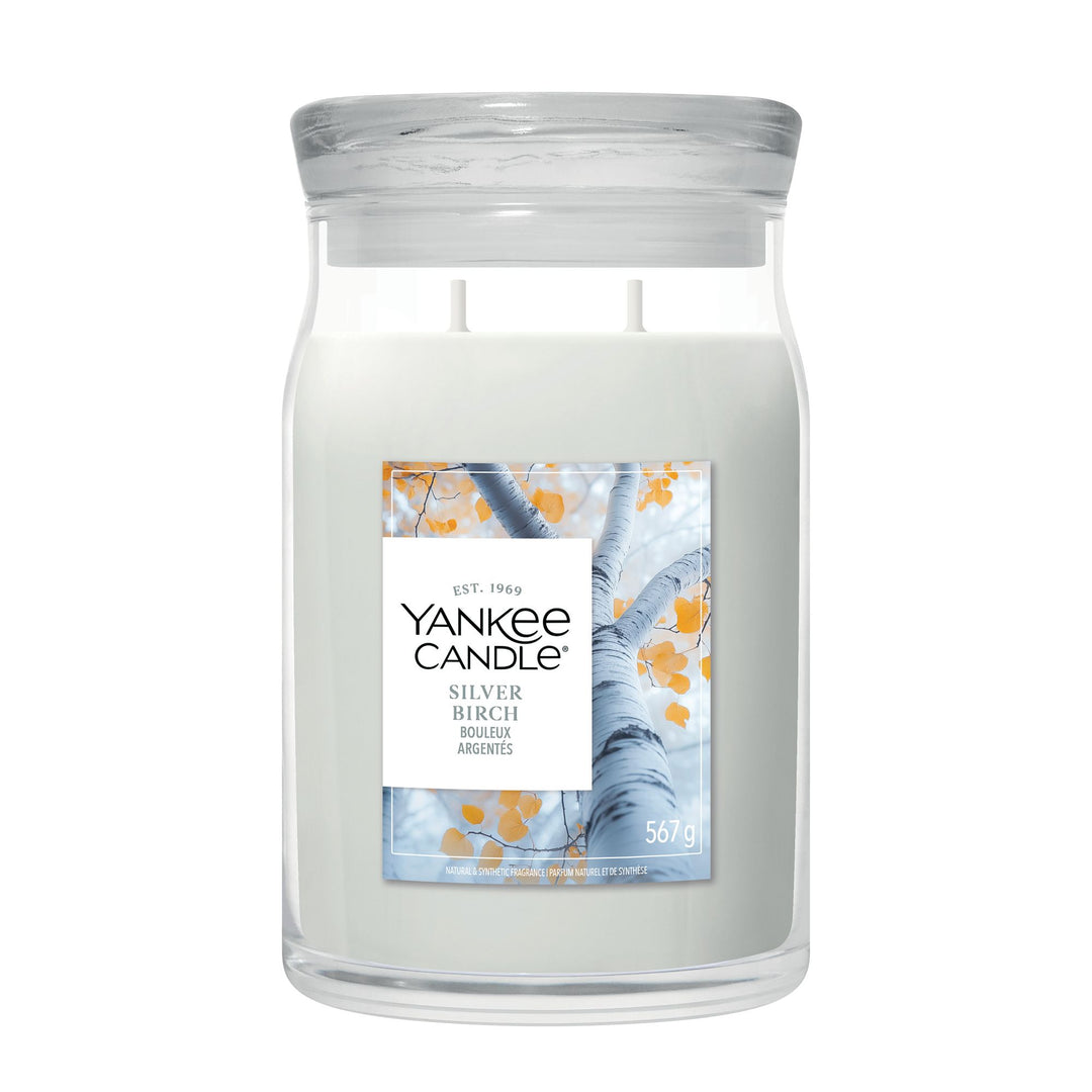 Silver Birch Signature Large Jar by Yankee Candle