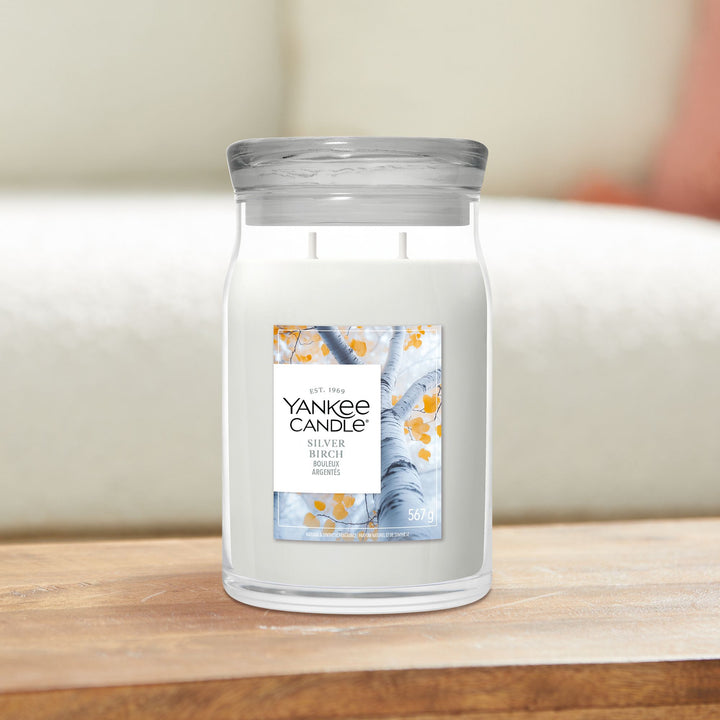 Silver Birch Signature Large Jar by Yankee Candle