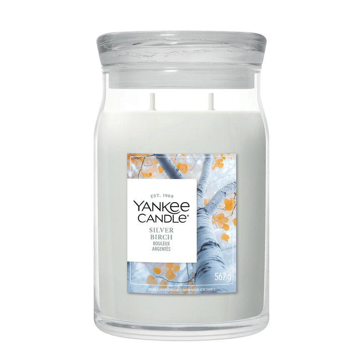 Silver Birch Signature Large Jar by Yankee Candle