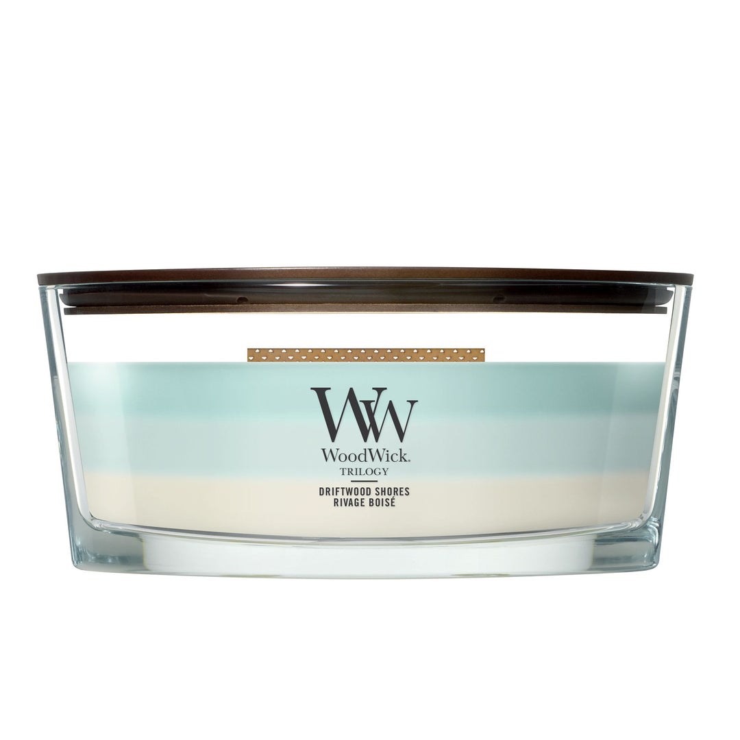 Driftwood Shores Ellipse by WoodWick