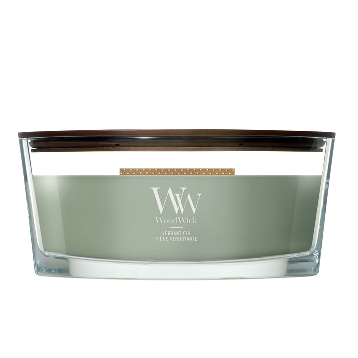Verdant Fig Ellipse by WoodWick