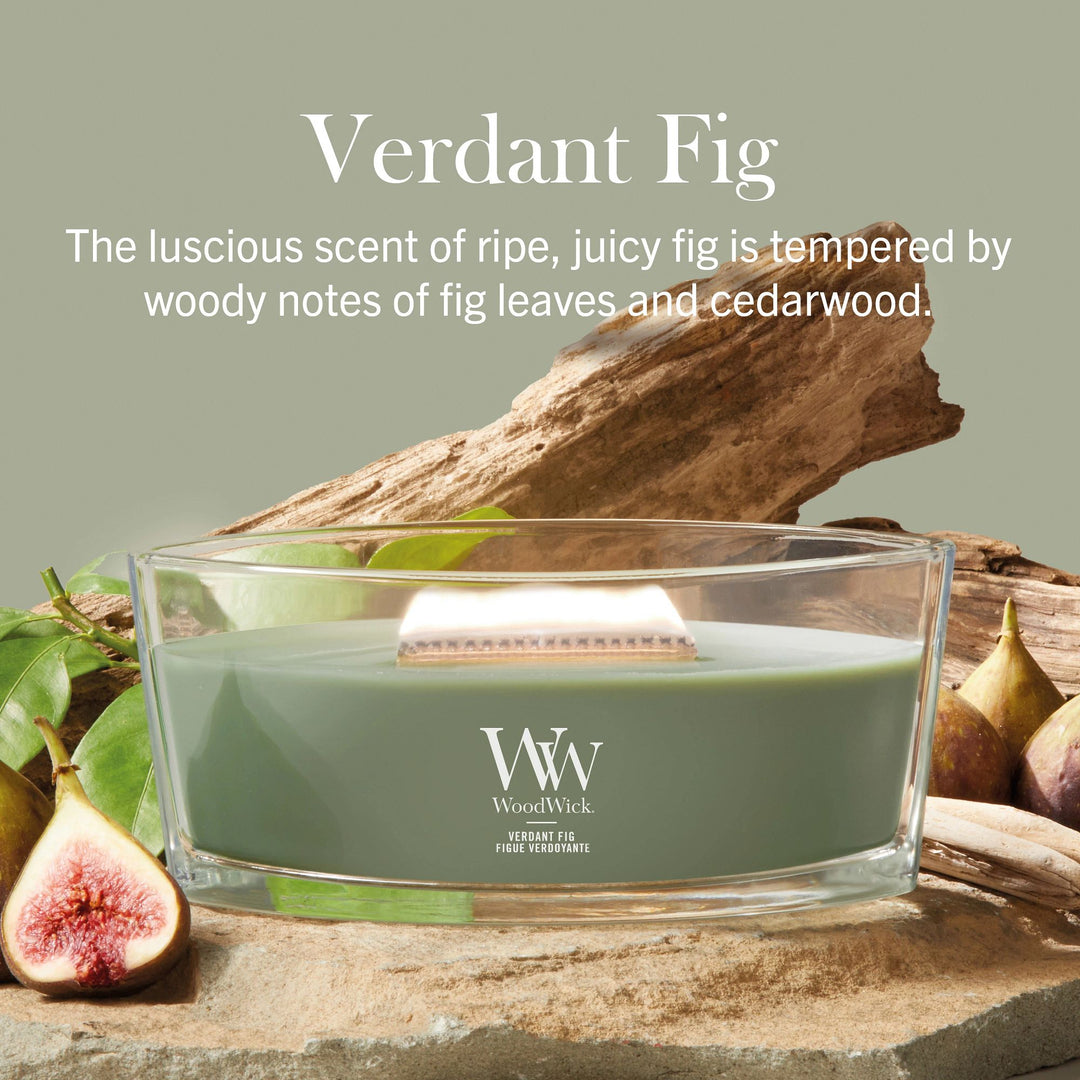 Verdant Fig Ellipse by WoodWick