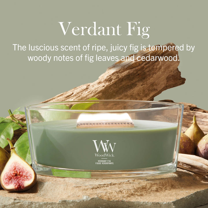 Verdant Fig Ellipse by WoodWick