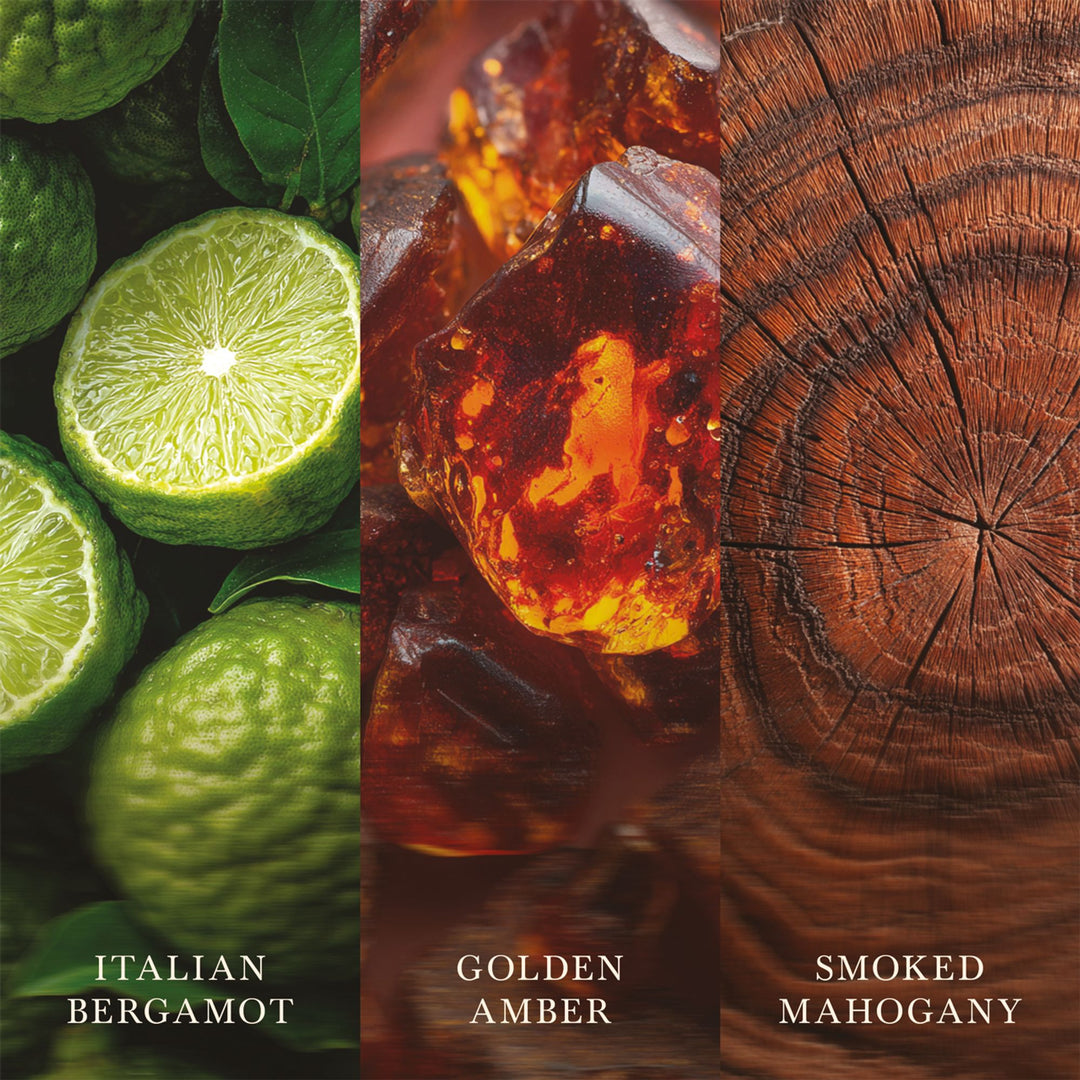 Fireside Ellipse by WoodWick