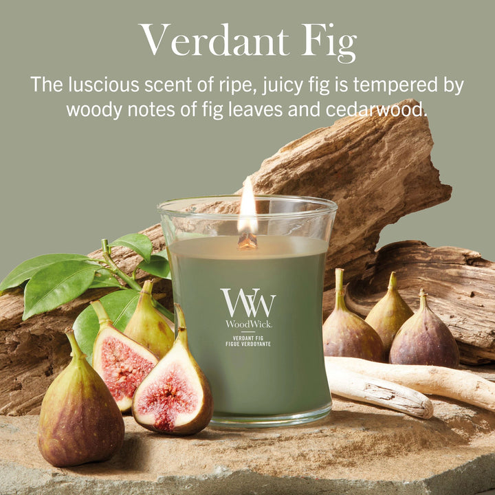 Verdant Fig Medium Hourglass by WoodWick