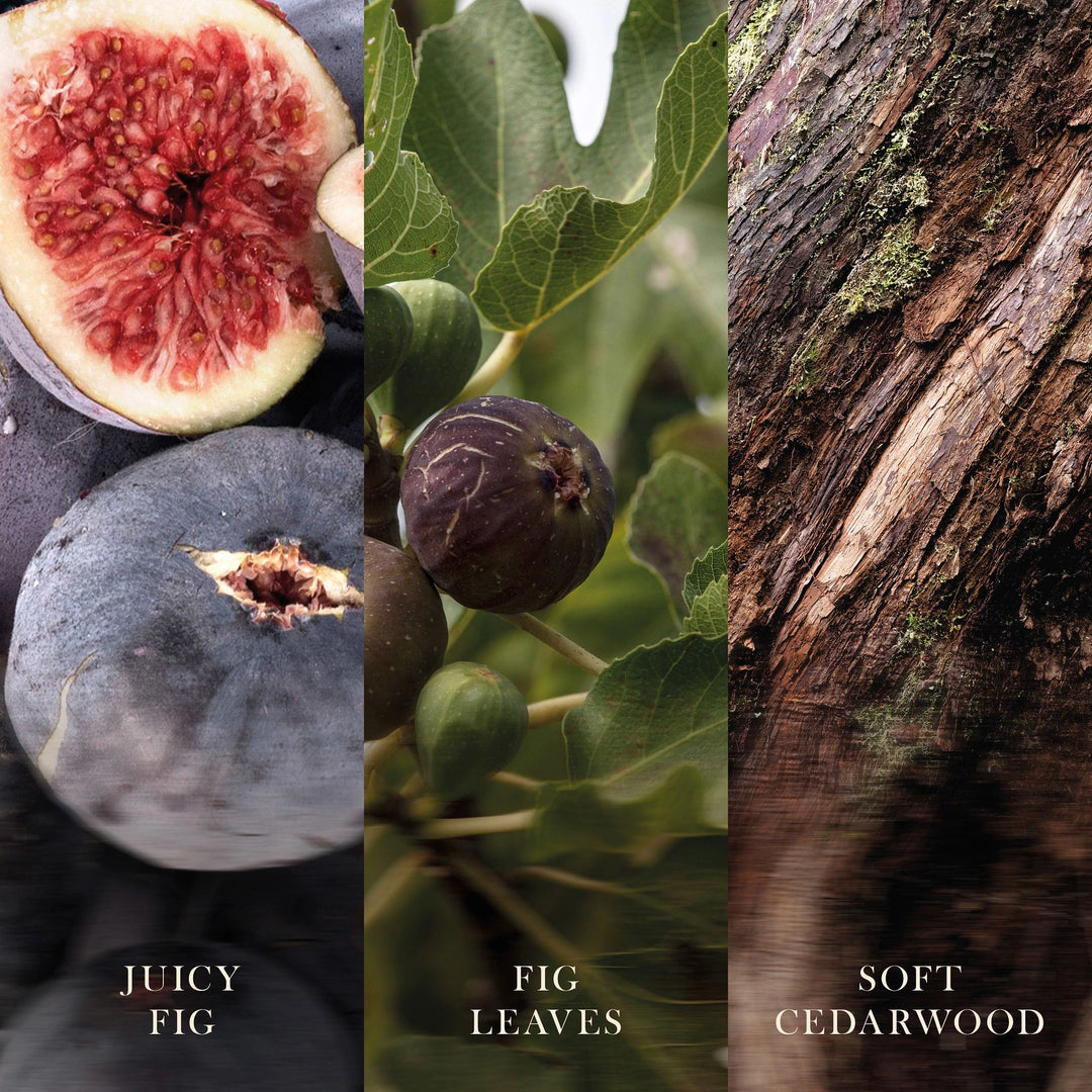 Verdant Fig Mini Hourglass by WoodWick