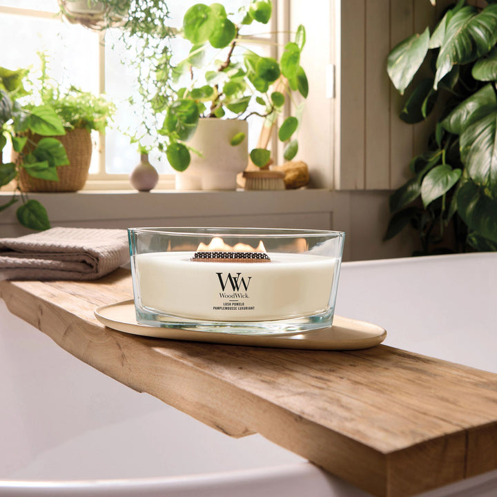 Lush Pomelo Ellipse by WoodWick