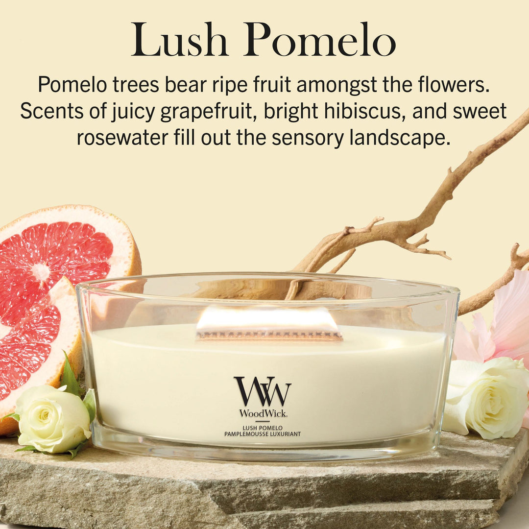 Lush Pomelo Ellipse by WoodWick