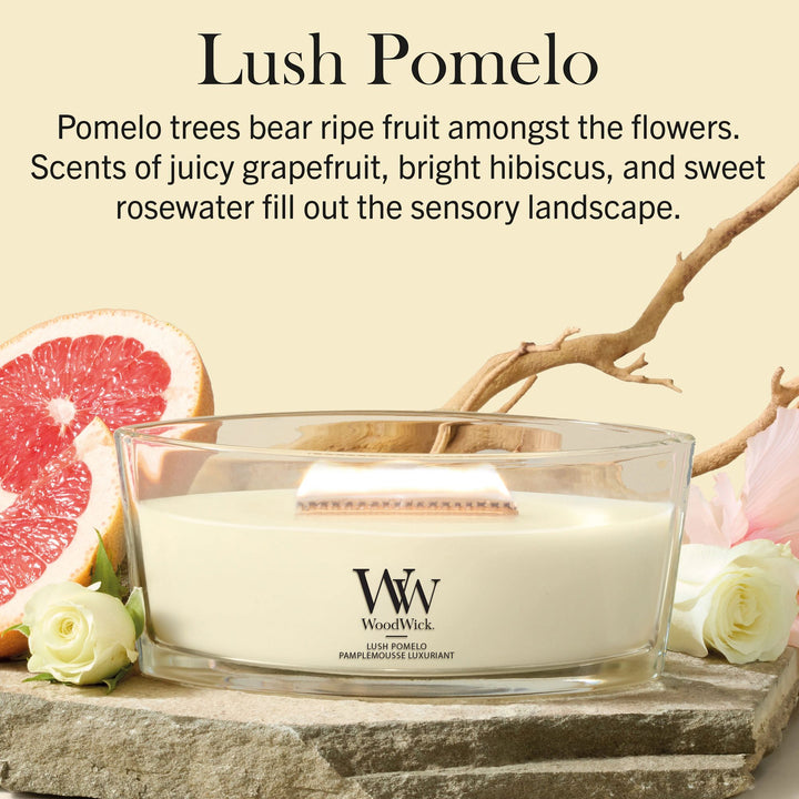 Lush Pomelo Ellipse by WoodWick