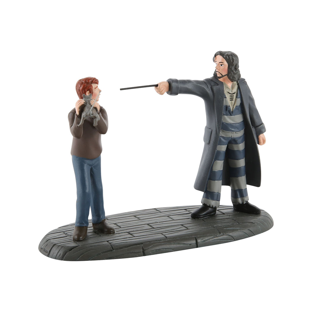 "Come out and play Peter" Ron & Sirius Figurine Harry Potter Village by Dept56