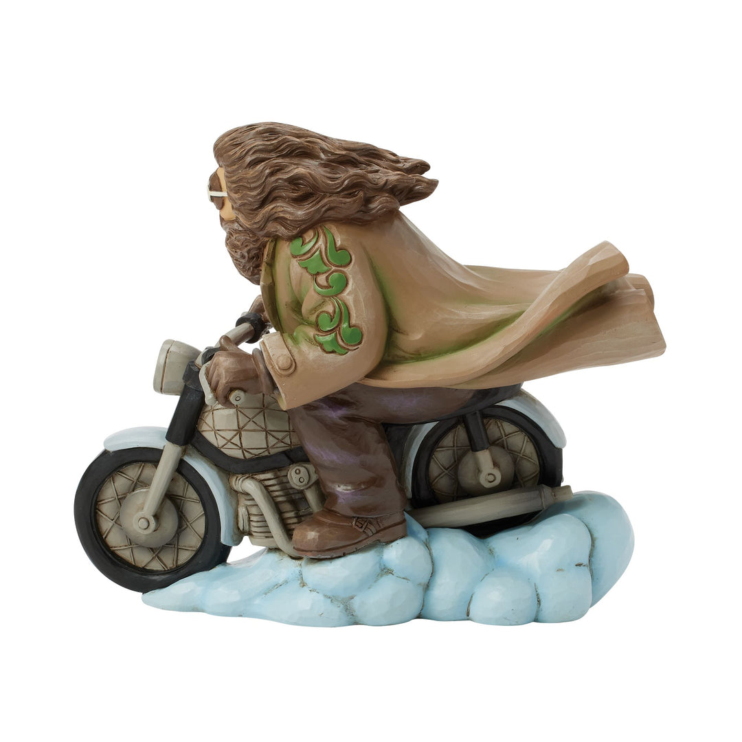 Guardian in the Sky (Hagrid on Bike)