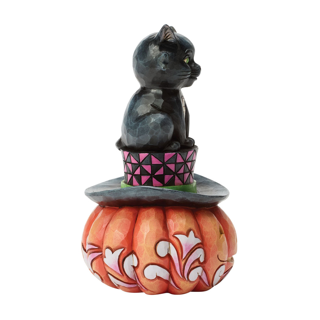 Black Cat sitting on a Top Hat