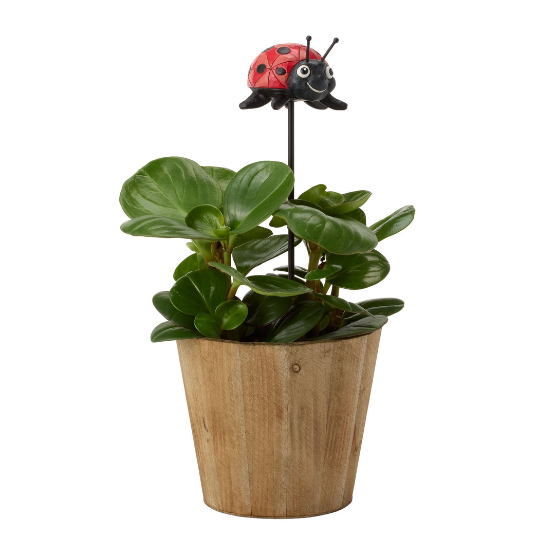 Plant Stake Ladybug Figurine