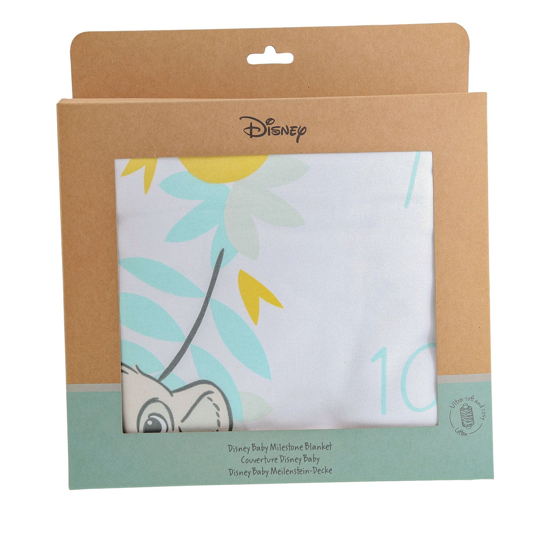 Disney Baby Milestone Blanket by Enchanting Disney