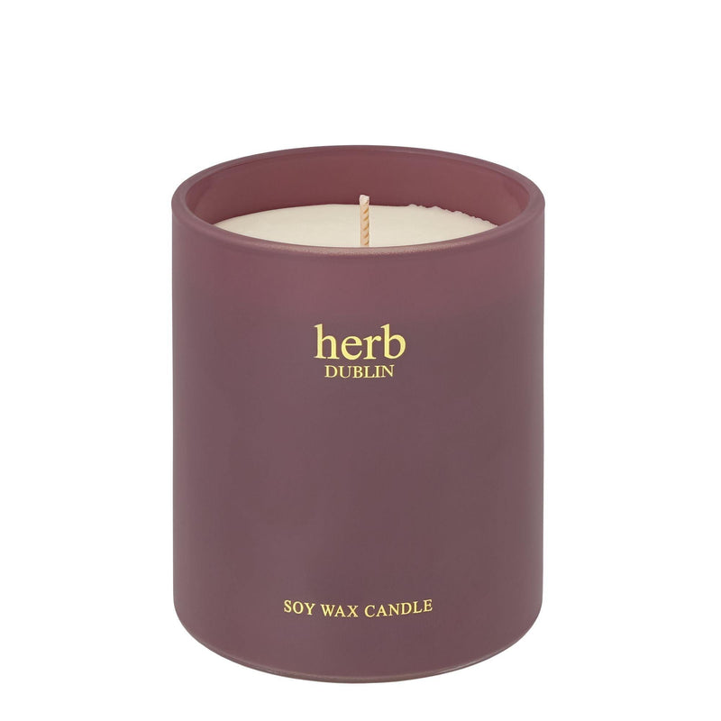 Comfort And Joy Candle by Herb Dublin - Enesco Gift Shop