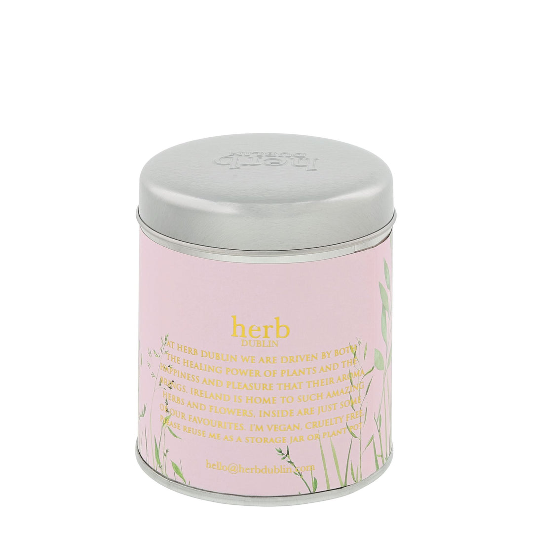 Rhubarb And Fresh Garden Mint Tin Candle by Herb Dublin