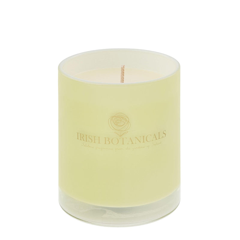 Chamomile And Wild Burren Candle by Irish Botanicals - Enesco Gift Shop
