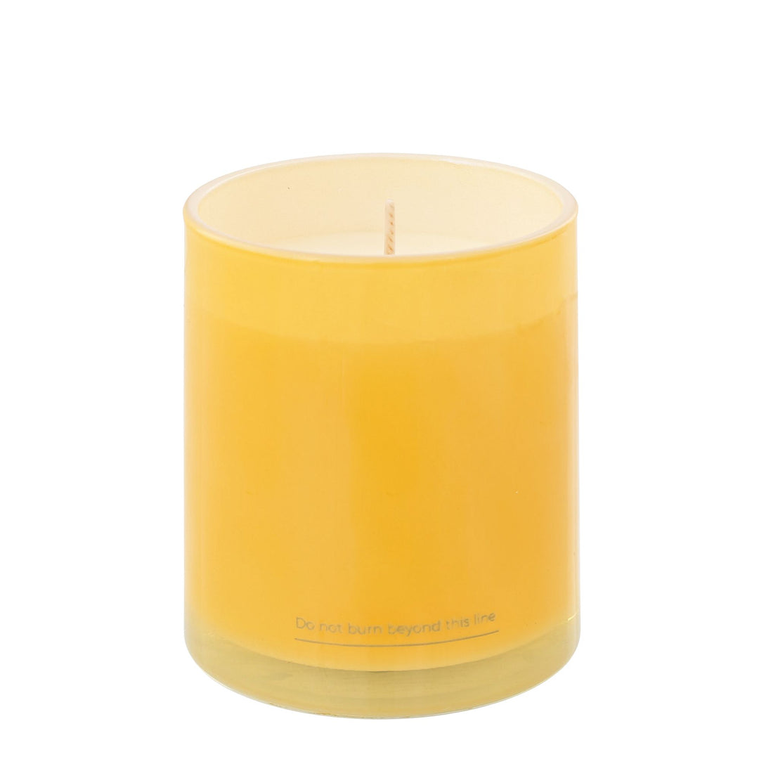 Honeysuckle And Wood Sage Candle by Irish Botanicals