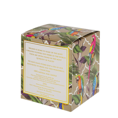 Verveine And Lemon Balm Candle by Irish Botanicals - Enesco Gift Shop