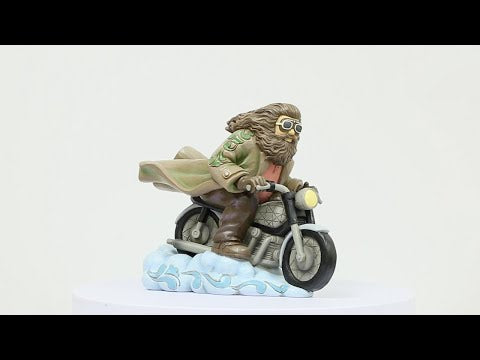 Guardian in the Sky (Hagrid on Bike)