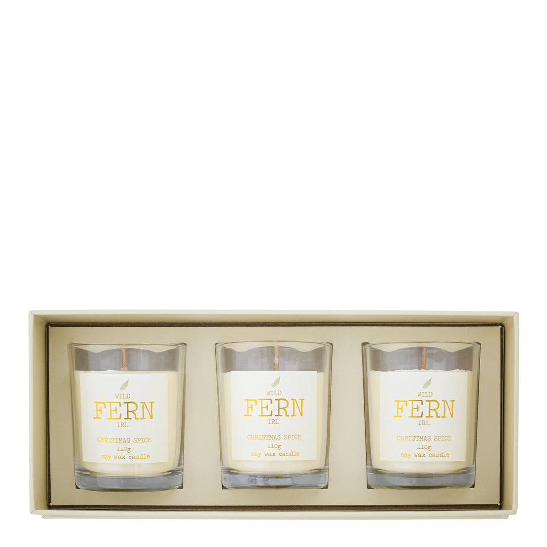 Wild Fern Gift Set by Fern Dublin