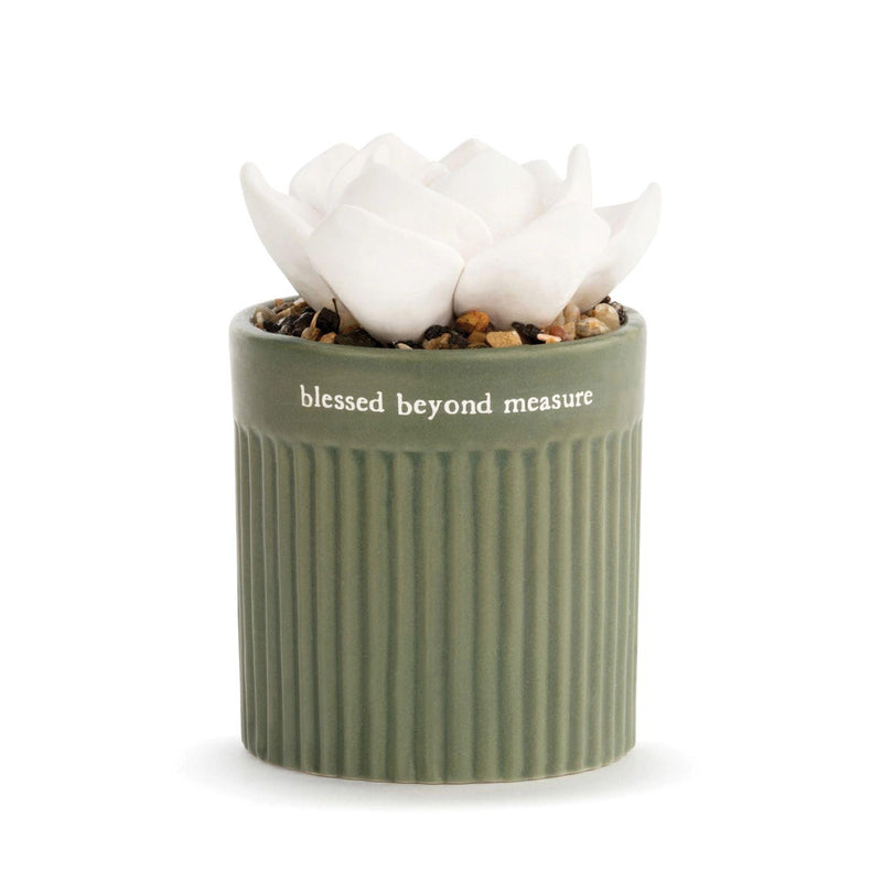 Succulent Oil Diffuser - Blessed by Demdaco - Enesco Gift Shop